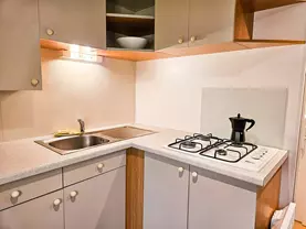 Bungalows y Cabañas SOLOPUENT Natur apartamentos turísticos en Castiello de Jaca